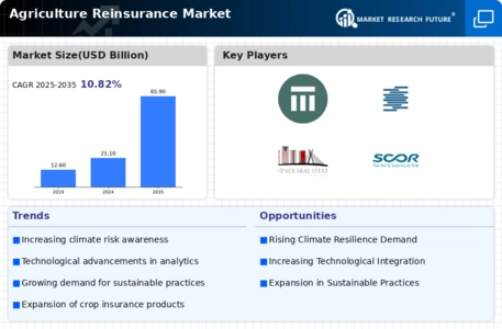 Agriculture Reinsurance Market Infographic