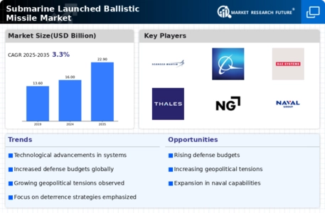 Submarine Launched Ballistic Missile Market Infographic