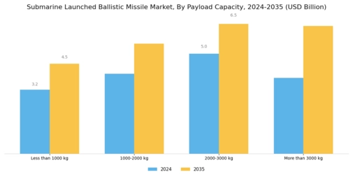 Submarine Launched Ballistic Missile Market Segment Image 1
