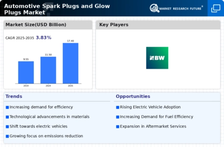 Automotive Spark Plugs Glow Plugs Market
 Infographic