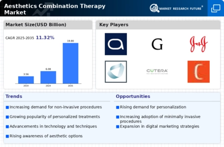 Aesthetics Combination Therapy Market  Infographic
