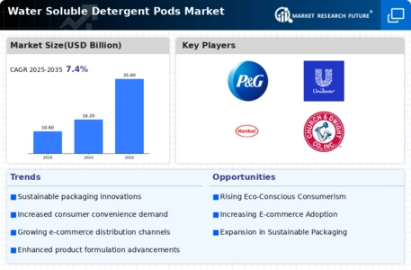 Water Soluble Detergent Pods Market Infographic