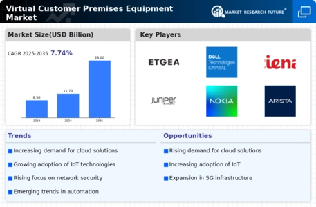Virtual Customer Premises Equipment Market Infographic
