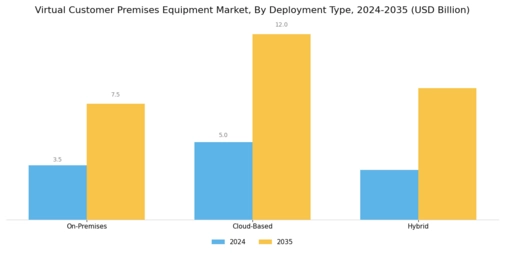 Virtual Customer Premises Equipment Market Segment Image 1