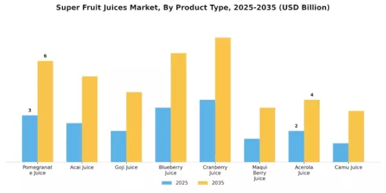 Super Fruit Juices Market Segment Image 0