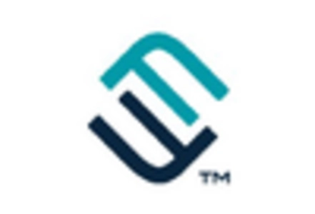 Wafer Level Test Burn In Market key player