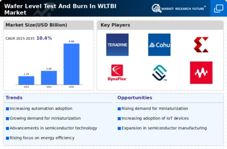 Wafer Level Test Burn In Market Infographic