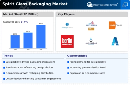 Spirit Glass Packaging Market Infographic