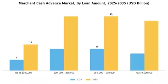 Merchant Cash Advance Market Segment Image 0