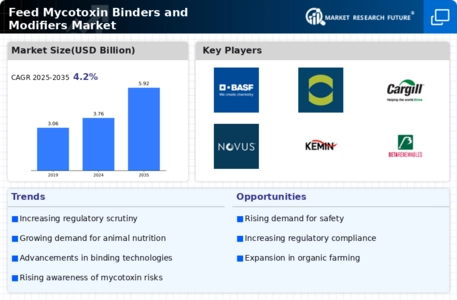 Feed Mycotoxin Binders and Modifiers Market Infographic