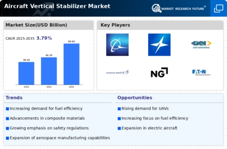 Aircraft Vertical Stabilizer Market Infographic