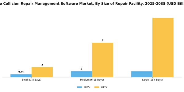 Auto Collision Repair Management Software Market Segment Image 2