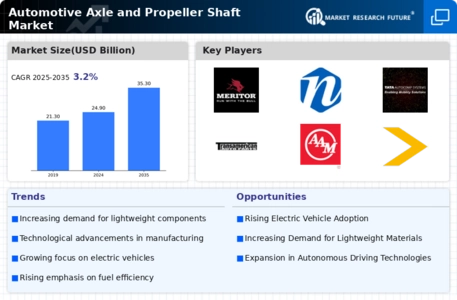Automotive Axle Propeller Shaft Market Infographic