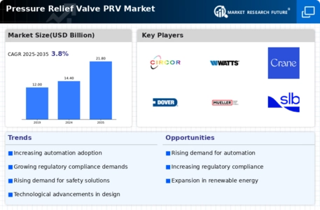 Pressure Relief Valve Market Infographic