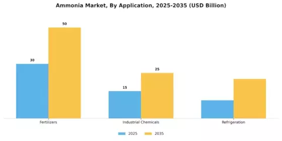 Ammonia Market Segment Image 0