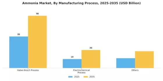 Ammonia Market Segment Image 1