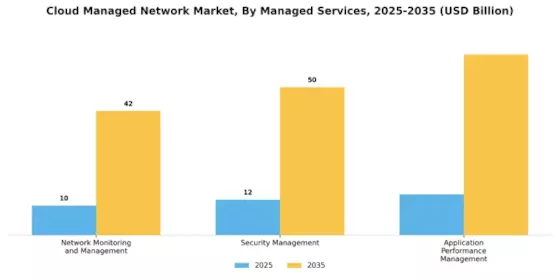 Cloud Managed Network Market Segment Image 2