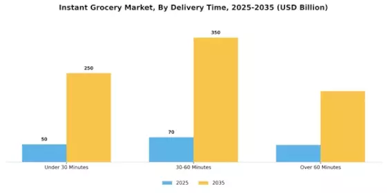 Instant Grocery Market Segment Image 2