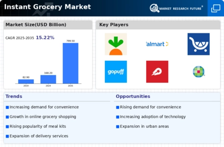 Instant Grocery Market Infographic