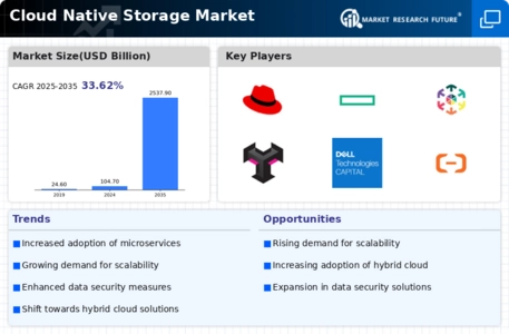 Cloud Native Storage Market Infographic