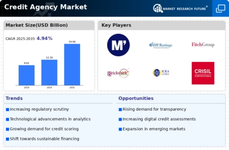 Credit Agency Market Infographic