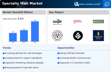 Specialty Malt Market Infographic