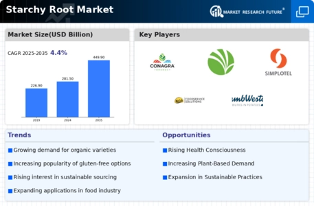 Starchy Root Market Infographic