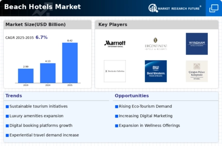 Beach Hotels Market Infographic