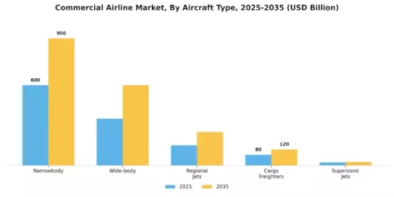 Commercial Airline Market Segment Image 0