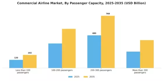 Commercial Airline Market Segment Image 3