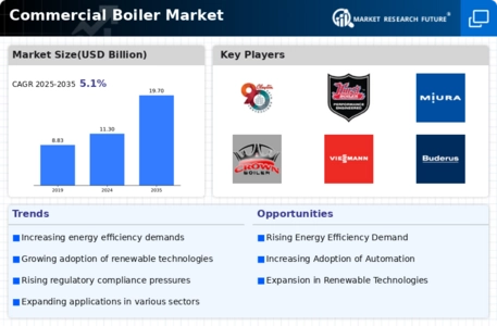 Commercial Boiler Market Infographic