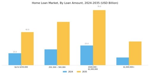 Home Loan Market Segment Image 1