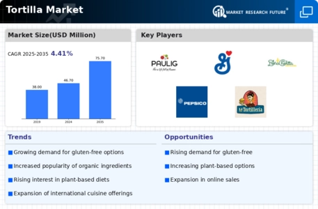 Tortilla Market Infographic