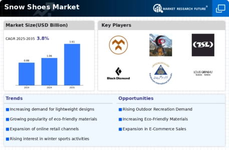 Snow Shoes Market Infographic