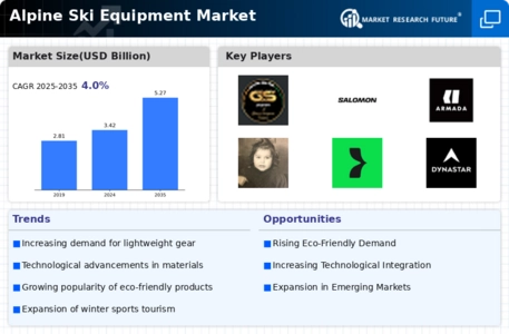 Alpine Ski Equipment Market Infographic
