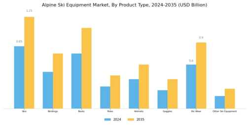 Alpine Ski Equipment Market Segment Image 0