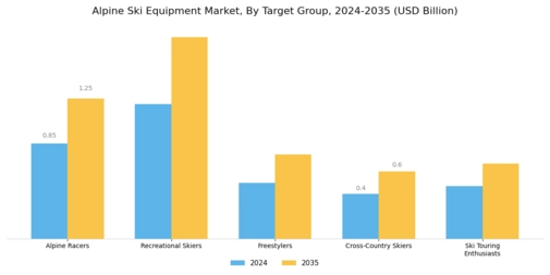 Alpine Ski Equipment Market Segment Image 1