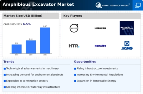 Amphibious Excavator Market Infographic