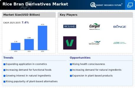 Rice Bran Derivatives Market Infographic