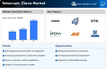 Telescopic Crane Market Infographic