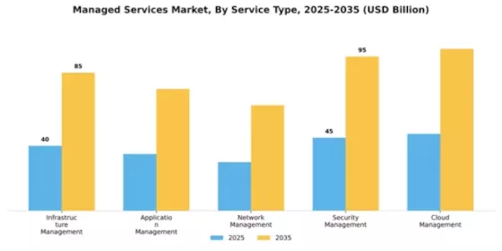 Managed Services Market Segment Image 4