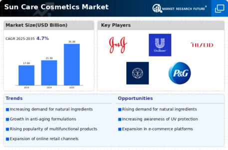 Sun Care Cosmetics Market Infographic