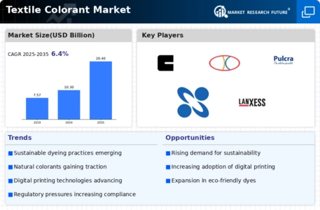 Textile Colorant Market Infographic