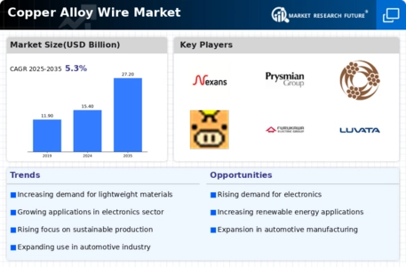 Copper Alloy Wire Market Infographic