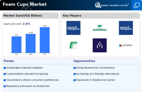 Foam Cups Market Infographic