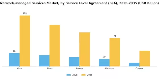 Network Managed Services Market Segment Image 2