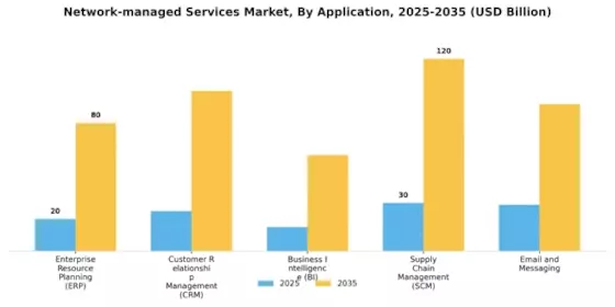 Network Managed Services Market Segment Image 3