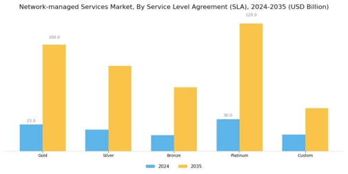 Network Managed Services Market Segment Image 2