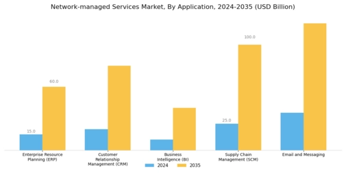 Network Managed Services Market Segment Image 3