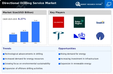 Directional Drilling Service  Market Infographic